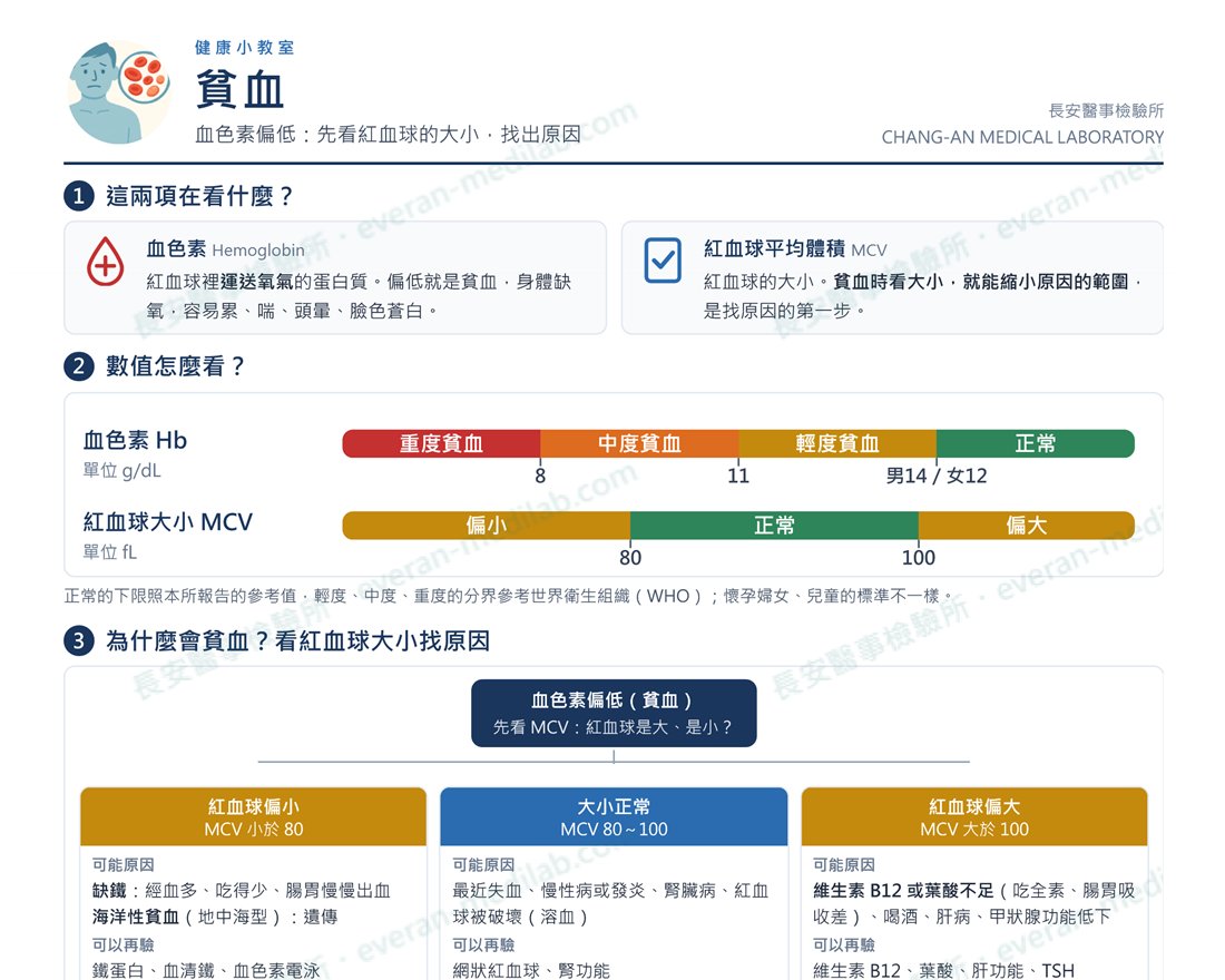 長安醫事檢驗所衛教單張「貧血」上半部