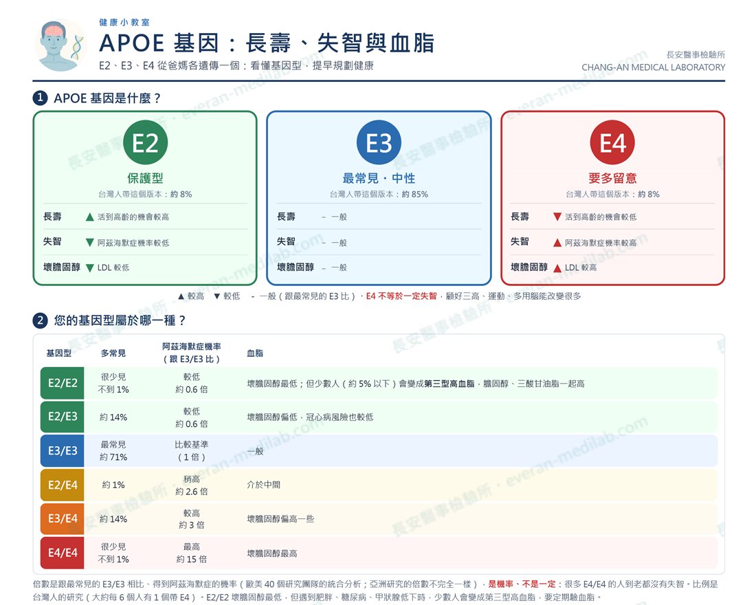 長安醫事檢驗所衛教單張「APOE 基因：長壽、失智與血脂」上半部