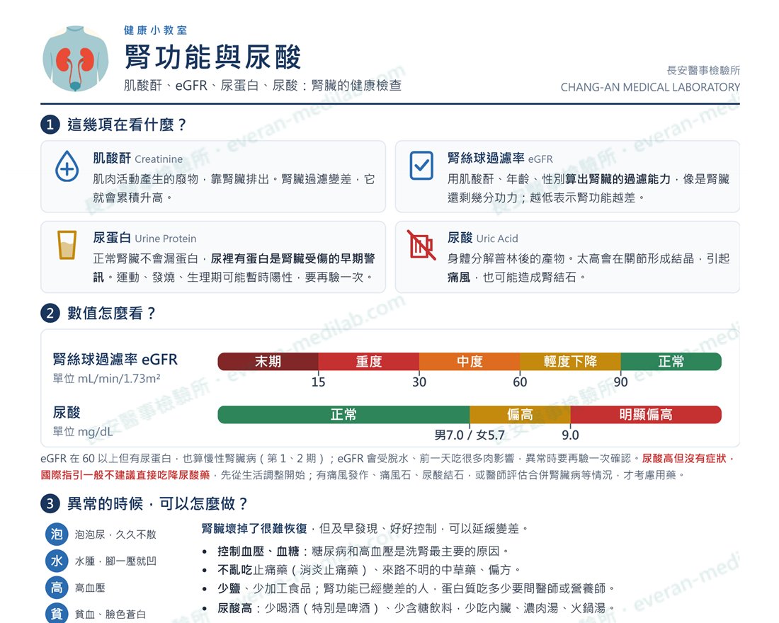 長安醫事檢驗所衛教單張「腎功能與尿酸」上半部