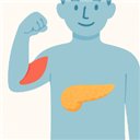 肌肉、心臟與胰臟酵素衛教單張的插圖