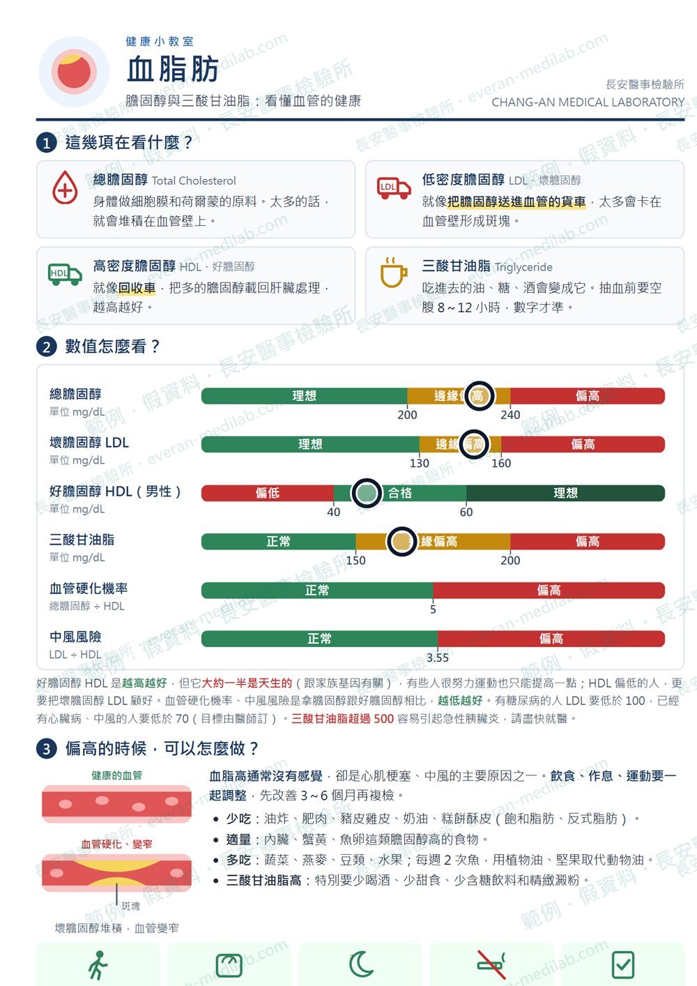 血脂肪衛教單張範例（假資料）：量尺上圈出總膽固醇 228、LDL 150、HDL 45、三酸甘油脂 165 的位置